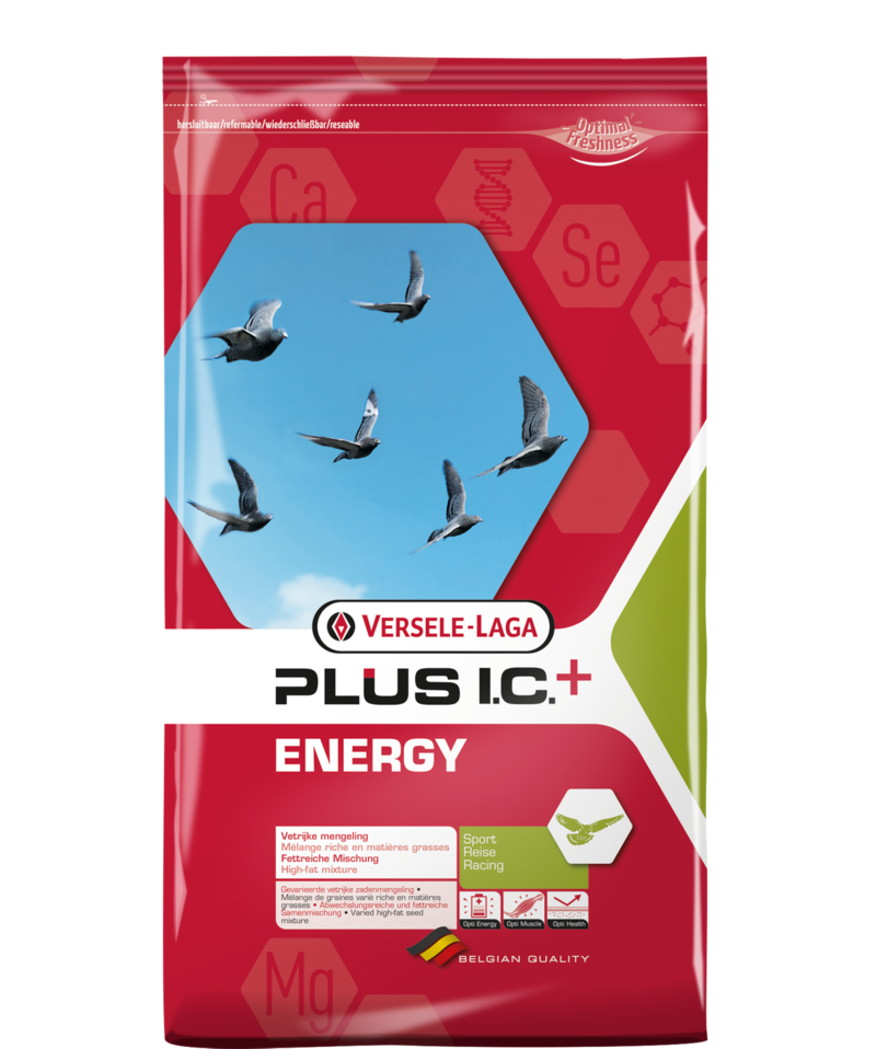 ENERGY PLUS 5kg frontend