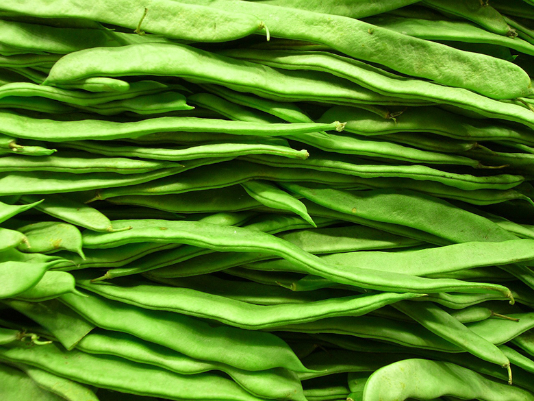 judias verdes