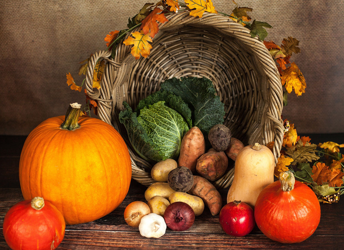 Consejos para tu alimentación en Otoño