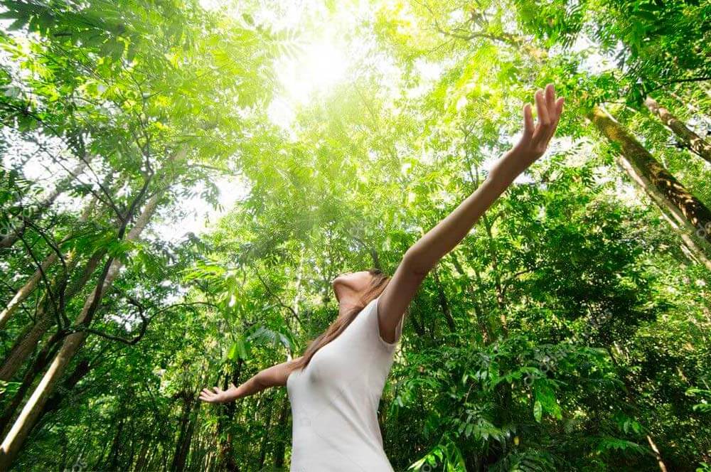 Día Mundial de la Ecología, apostemos por un mundo mejor