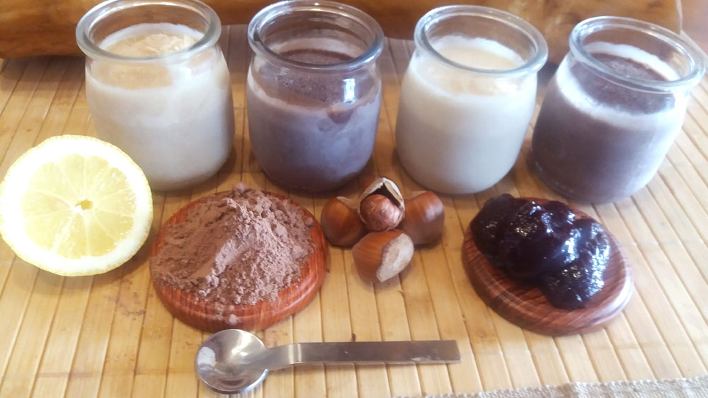 helados veganos