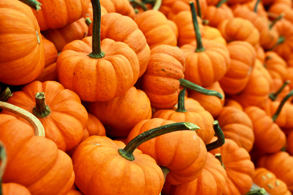 receta calabaza