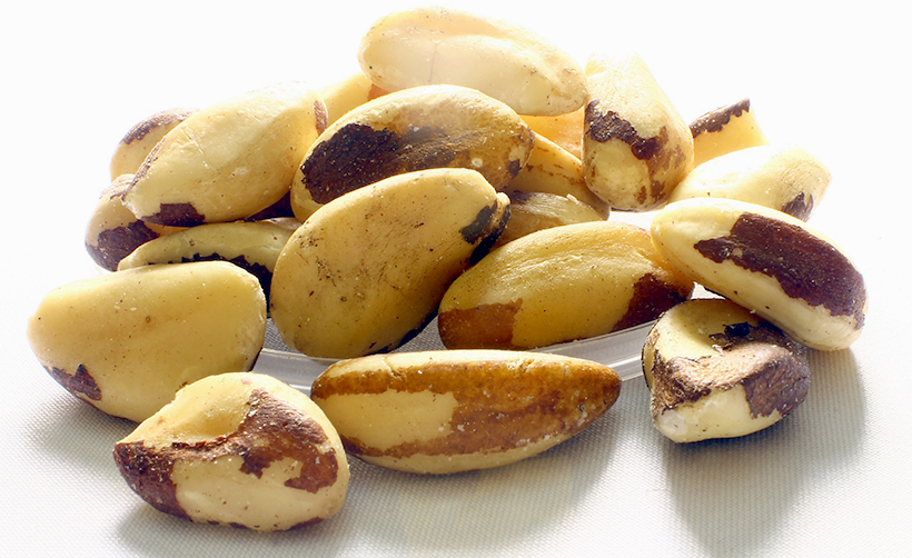 nueces brasil