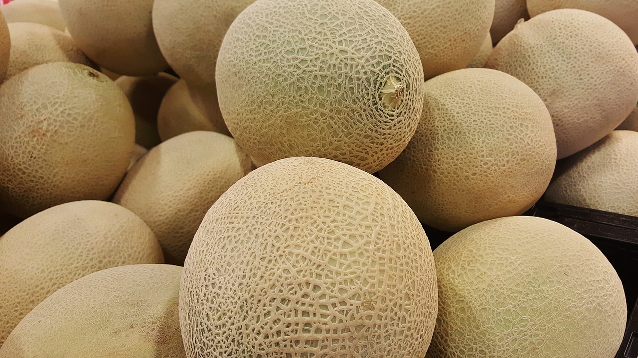 propiedades del melón