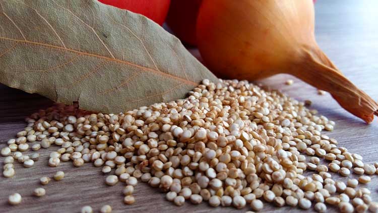 Quinoa, un superalimento completo