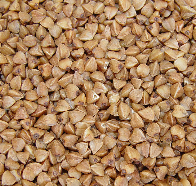 trigo sarraceno