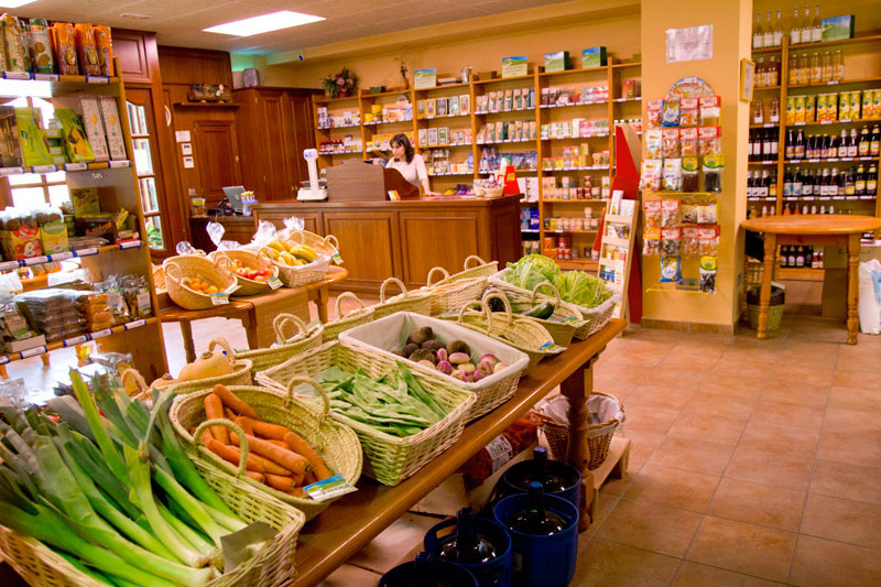 veganismo estilo de vida