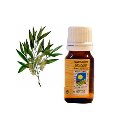 Aceite esencial arbol del te 10 ml. Ecoaromuz