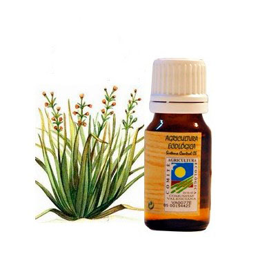 Aceite esencial Citronela 10 ml. Ecoaromuz