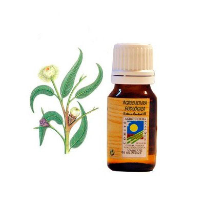 Aceite esencial Eucalipto 10 ml. Ecoaromuz