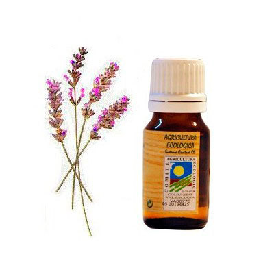 Aceite esencial Lavandin 10 ml. Ecoaromuz
