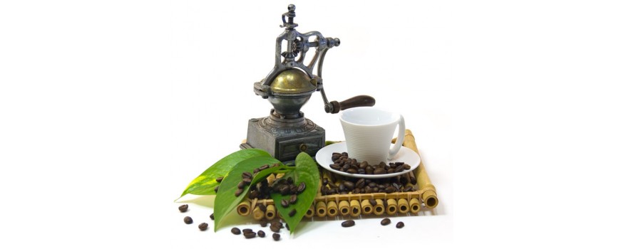 Café y sucedáneos del café