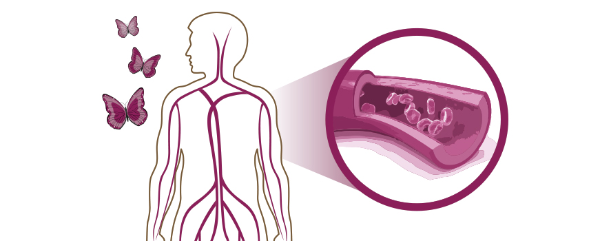 Cuidado del colesterol y la anemia