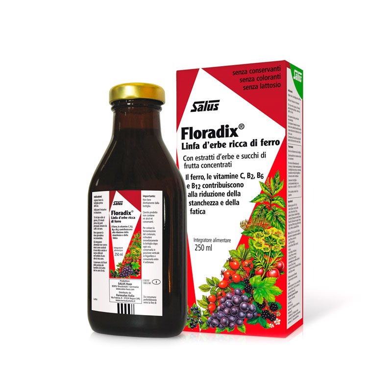 Floradix jarabe 250 ml. Salus