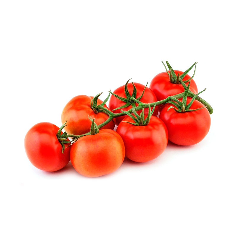 Tomate de rama