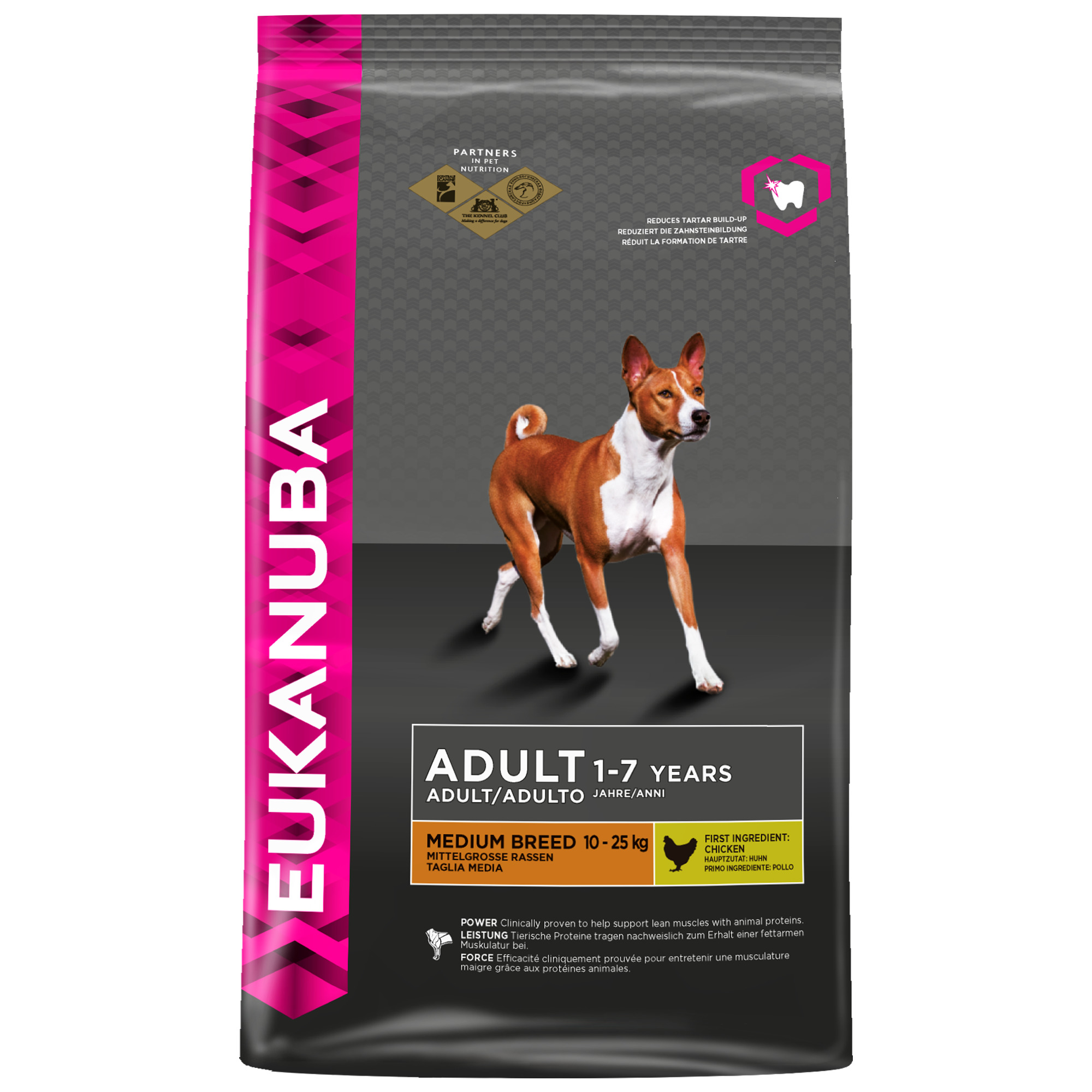 ADULT MANTENIMIENTO 9kg (RAZA MEDIANA)