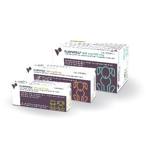 CLAVUCILL 50mg - 100 Comprimidos
