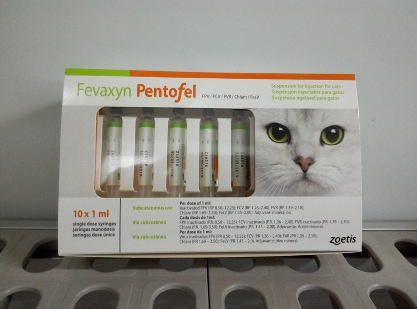 FEVAXYN PENTOFEL 10 Dosis