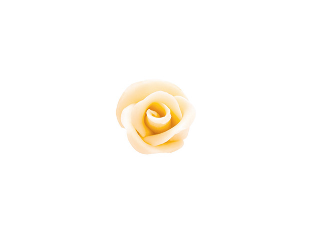 Rosa blanca de chocolate 