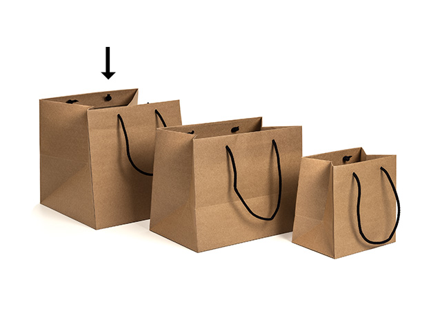 Bolsa lujo 25x25x25 blanco asa cinta satín/cj.25u
