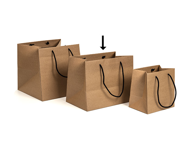Bolsa lujo 28x22x17 blanco asa cinta satín/cj.25u